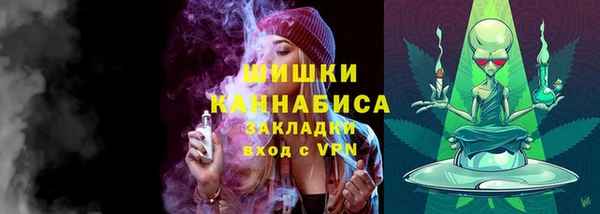 индика Козловка