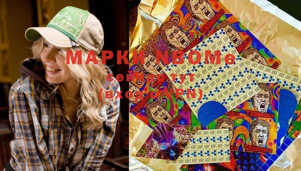 индика Козловка