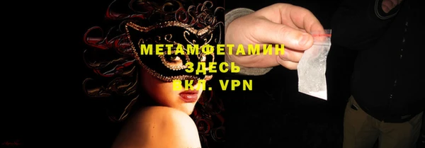 индика Козловка