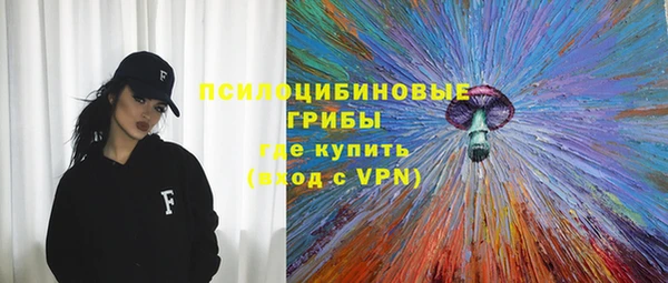 индика Козловка