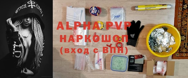индика Козловка