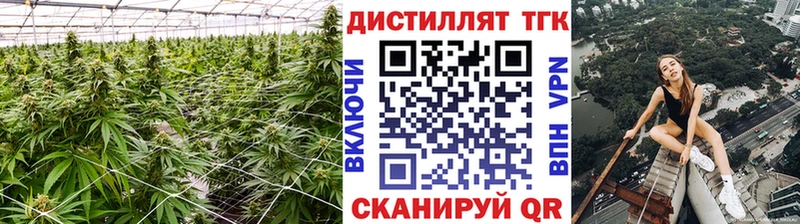 цены   Томмот  Дистиллят ТГК жижа 