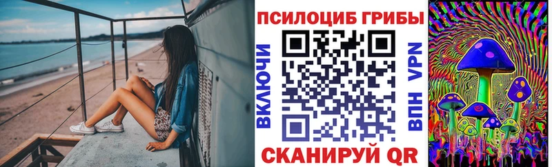 Галлюциногенные грибы GOLDEN TEACHER  цена   Томмот 
